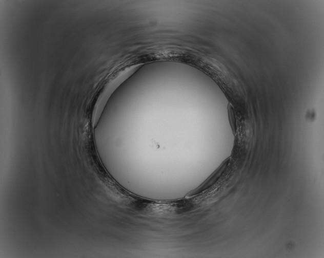 X0000098080327200804251519