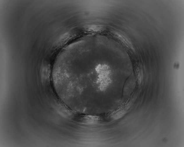 X0000098080328200804251519