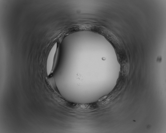 X0000098080329200804251519