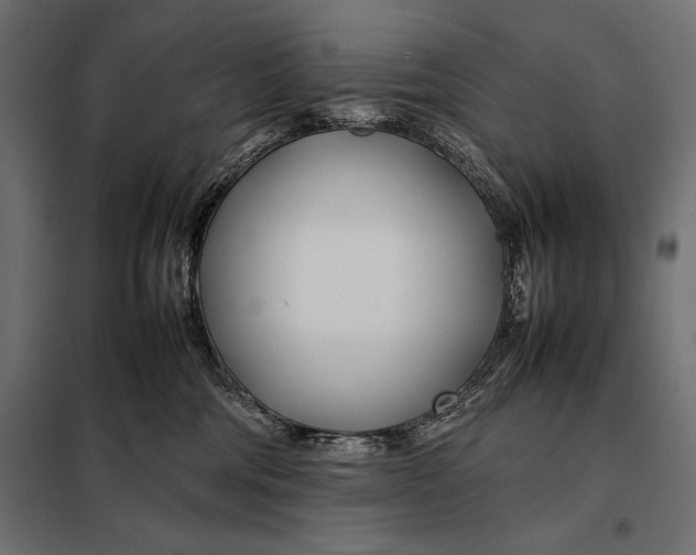 X0000098080330200804251519