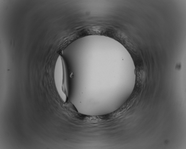 X0000098080331200804251519