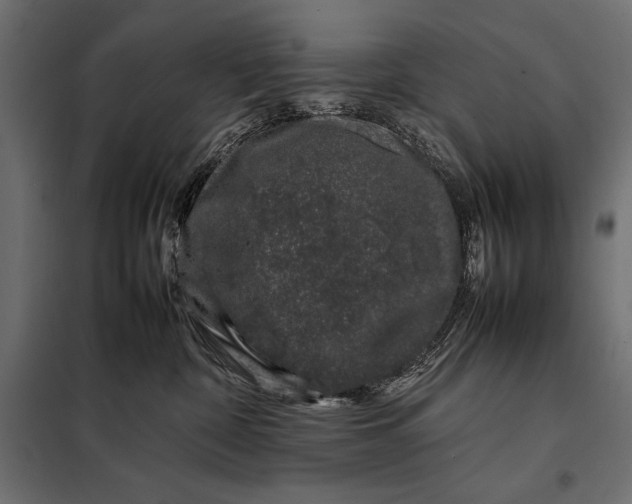 X0000098080332200804251519