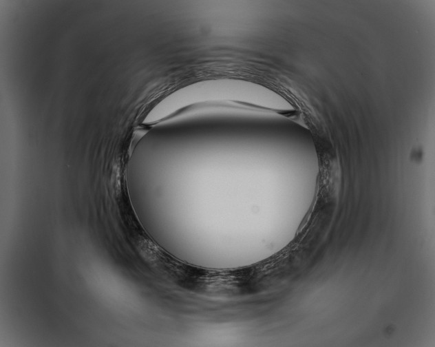 X0000098080333200804251519