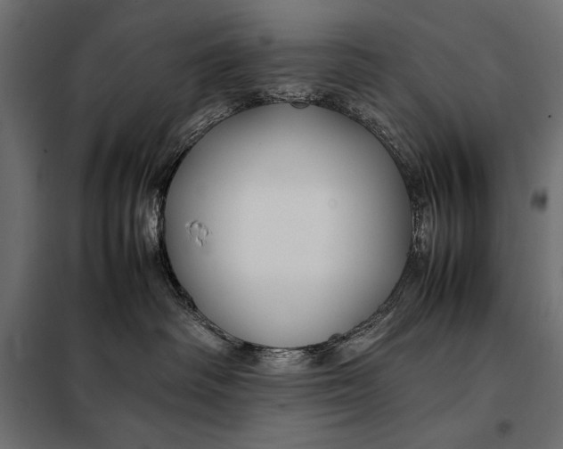 X0000098080334200804251519