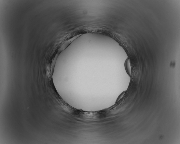 X0000098080335200804251519