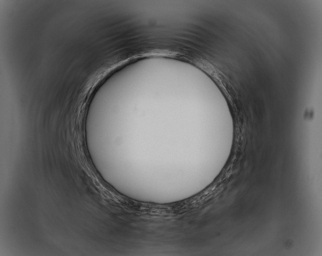 X0000098080337200804251518