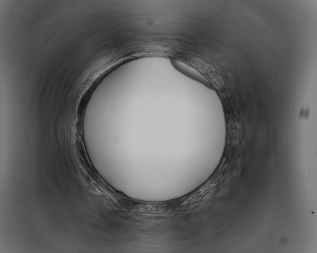 X0000098080338200804251518