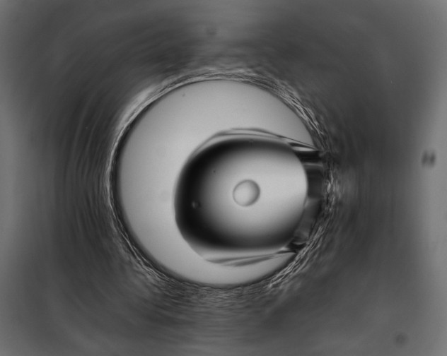 X0000098080340200804251518