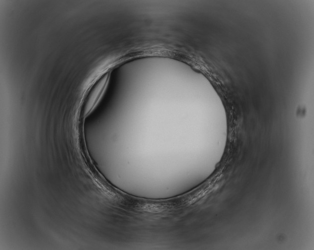 X0000098080341200804251518