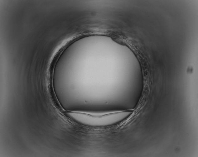 X0000098080342200804251518