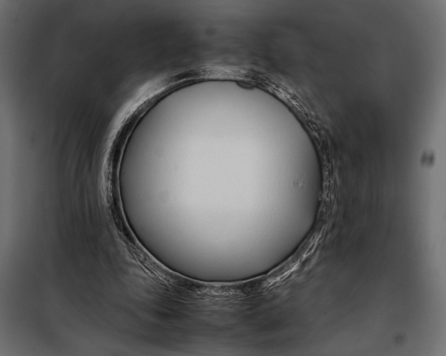 X0000098080343200804251518