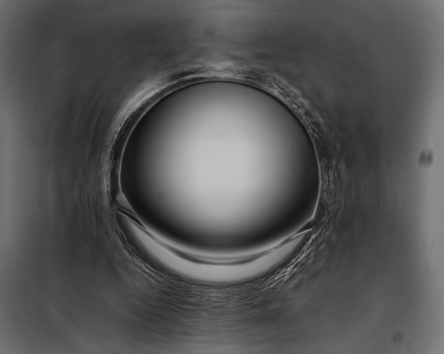 X0000098080344200804251518