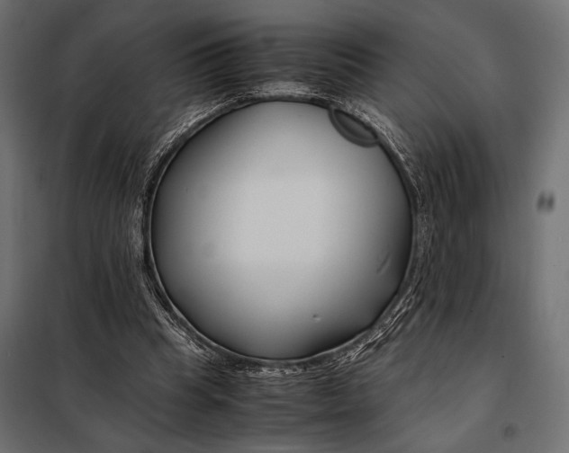 X0000098080345200804251518