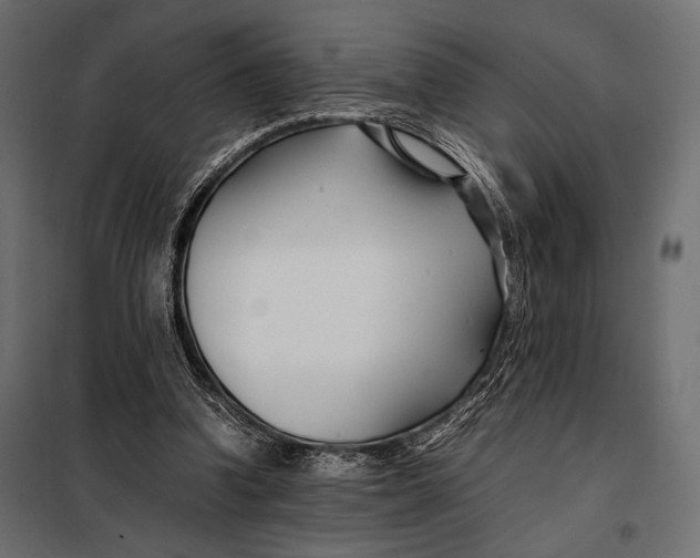 X0000098080346200804251518