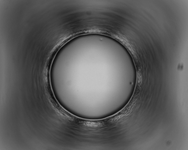 X0000098080347200804251518