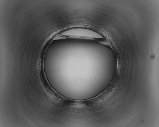 X0000098080348200804251518