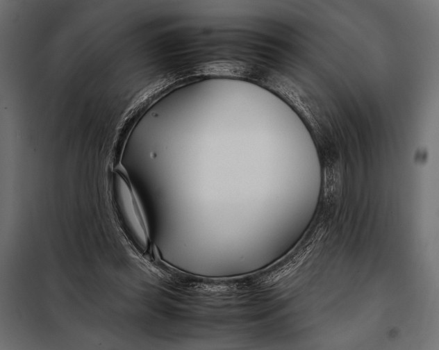 X0000098080349200804251518