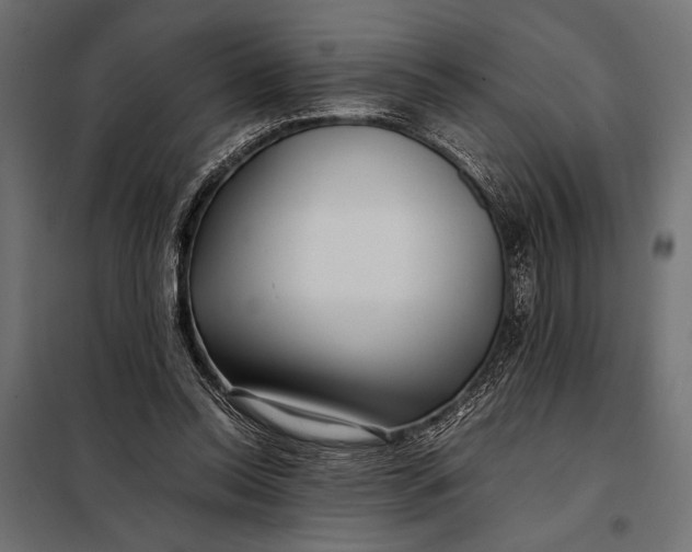 X0000098080350200804251518