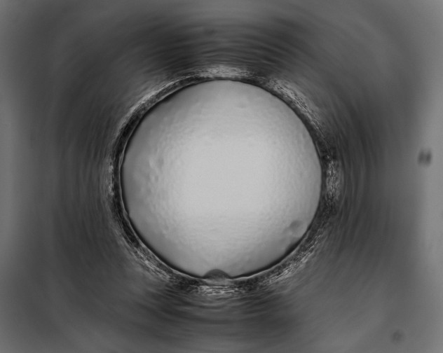 X0000098080351200804251518