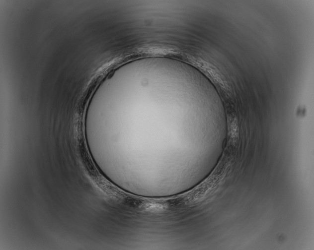 X0000098080352200804251518