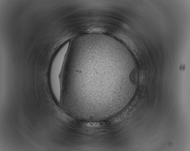 X0000098080353200804251518