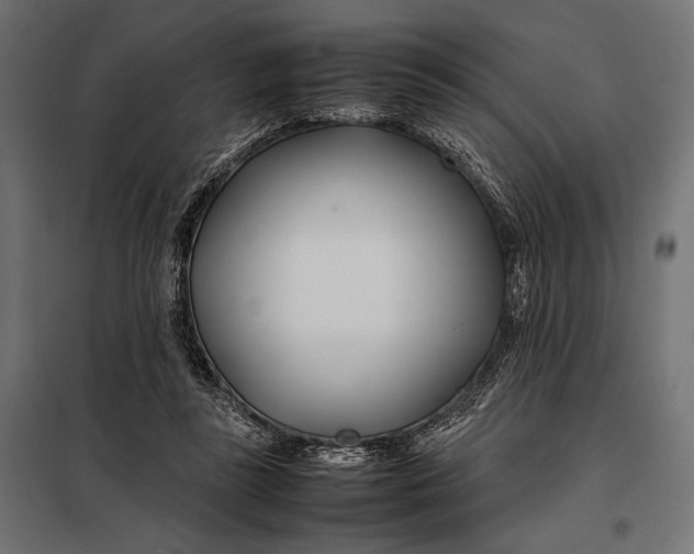 X0000098080355200804251518