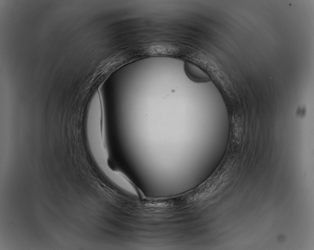 X0000098080357200804251518