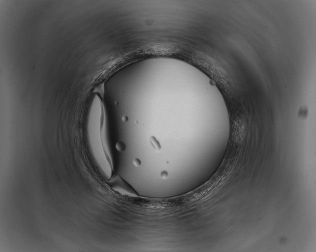 X0000098080358200804251518