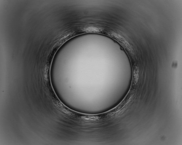 X0000098080359200804251518