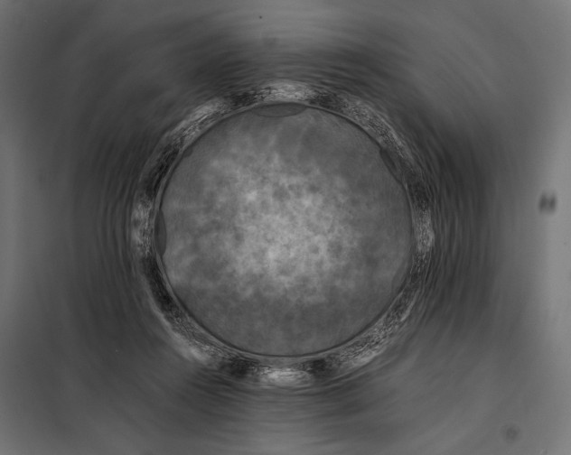 X0000098080360200804251518