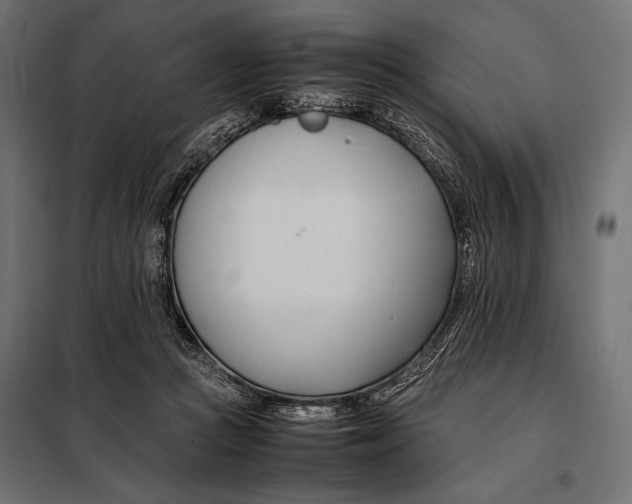 X0000098080361200804251518