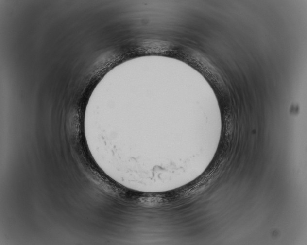 X0000098080362200804251518