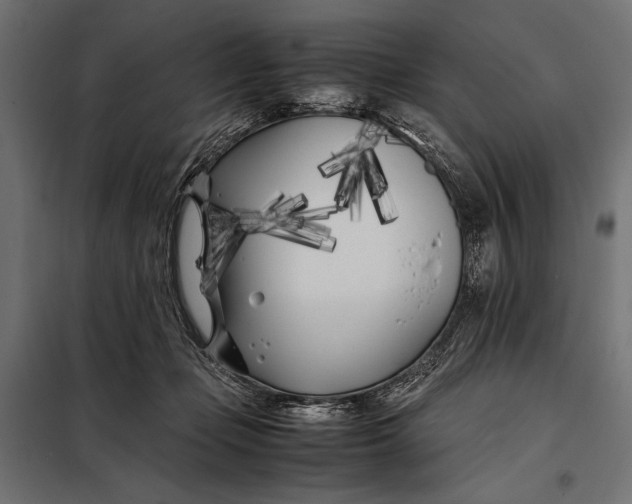 X0000098080365200804251518