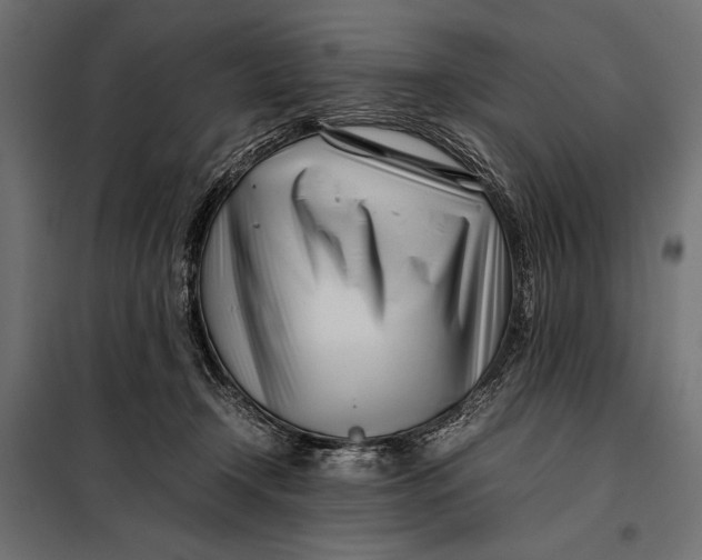 X0000098080366200804251518