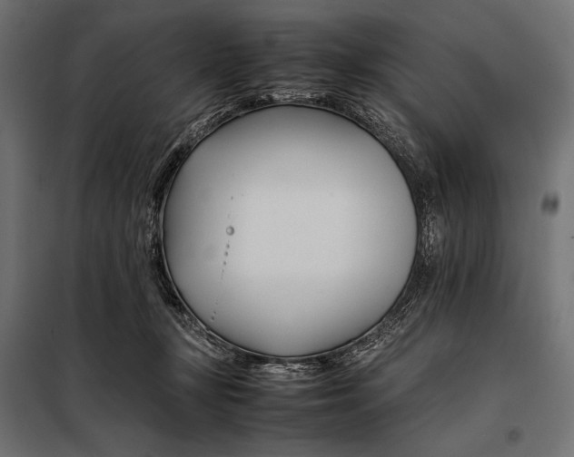 X0000098080367200804251518