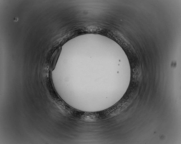 X0000098080368200804251519