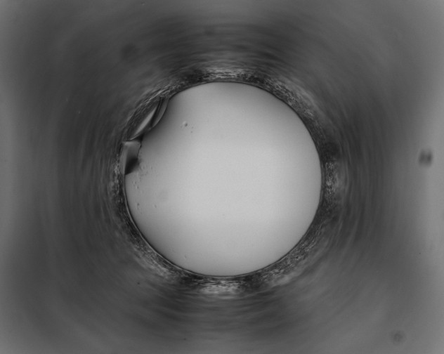 X0000098080369200804251519