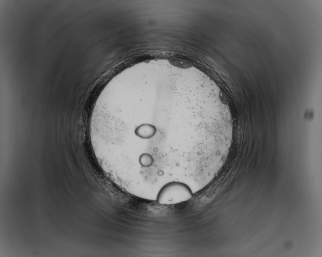 X0000098080370200804251519