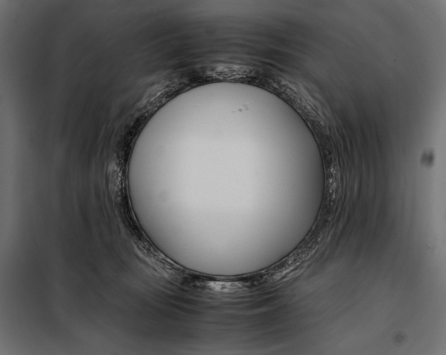 X0000098080371200804251519