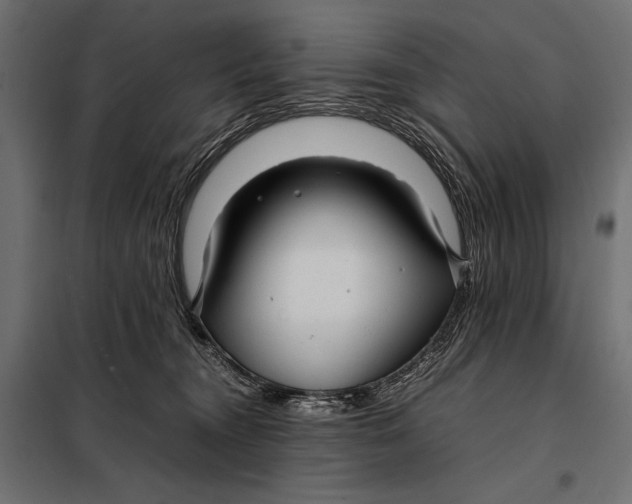 X0000098080372200804251519