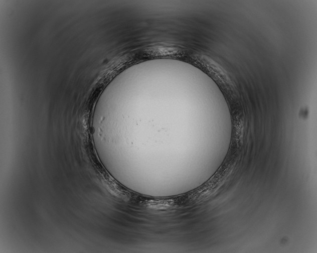 X0000098080373200804251519