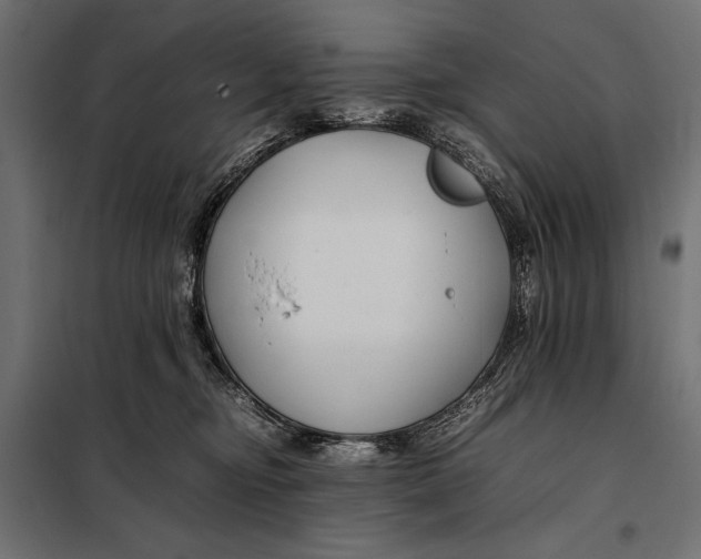 X0000098080374200804251519