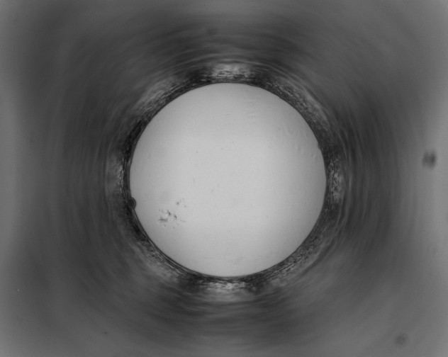 X0000098080375200804251519