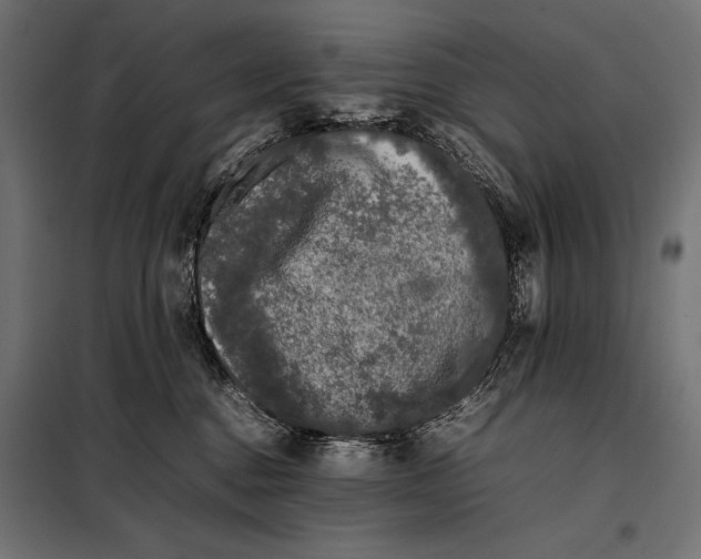 X0000098080376200804251519