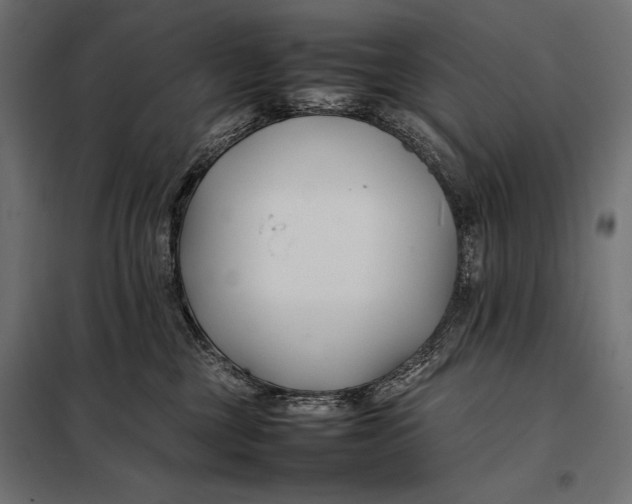 X0000098080377200804251519