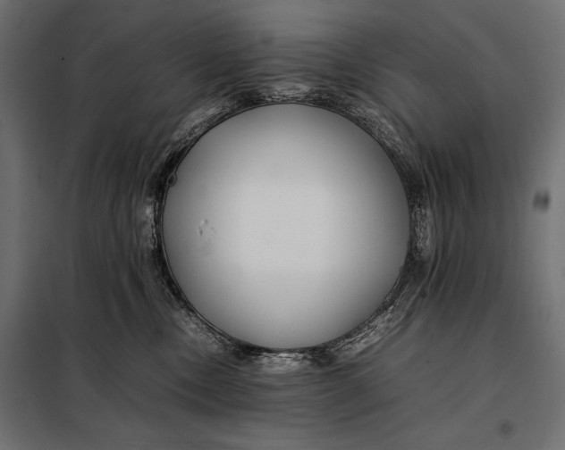 X0000098080378200804251519