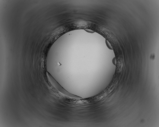 X0000098080379200804251519