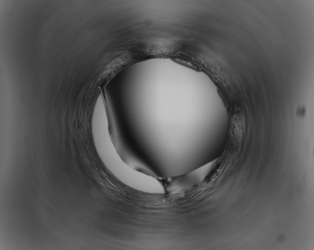 X0000098080380200804251519