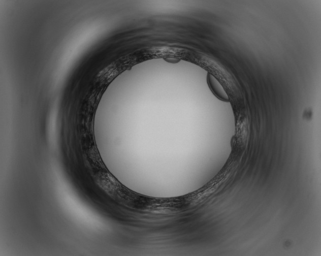 X0000098080381200804251519