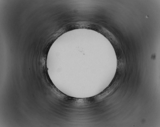 X0000098080382200804251519